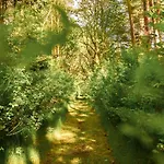 Uki Puhkekuela Campsite