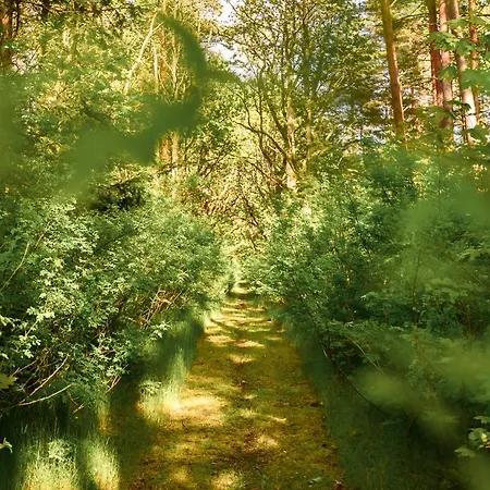 Uki Puhkekuela キャンプ場