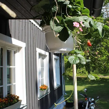 Camping Uki Puhkeküla Pärnu