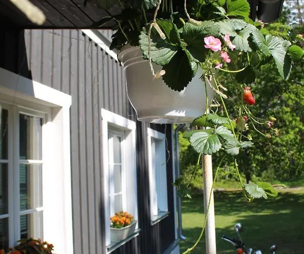 Campsite Uki Puhkekuela Parnu